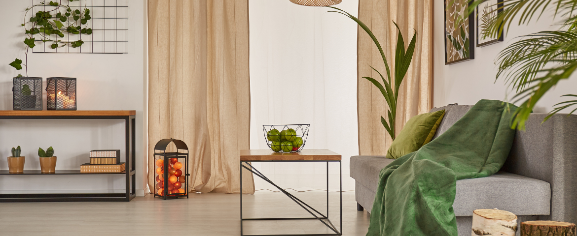 Las plantas, un elemento clave para la decoración