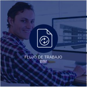 flujo_trabajo
