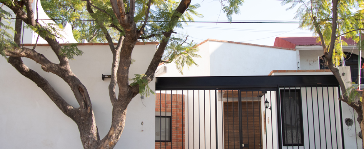 El Mezquital, Un proyecto de inversión